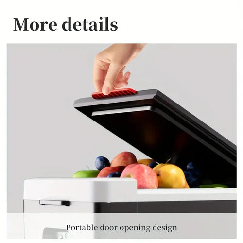 2 in 1 Car Refrigerator Warmer