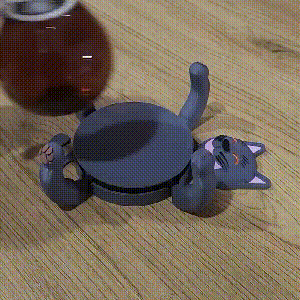 3D Print Cat Coasters